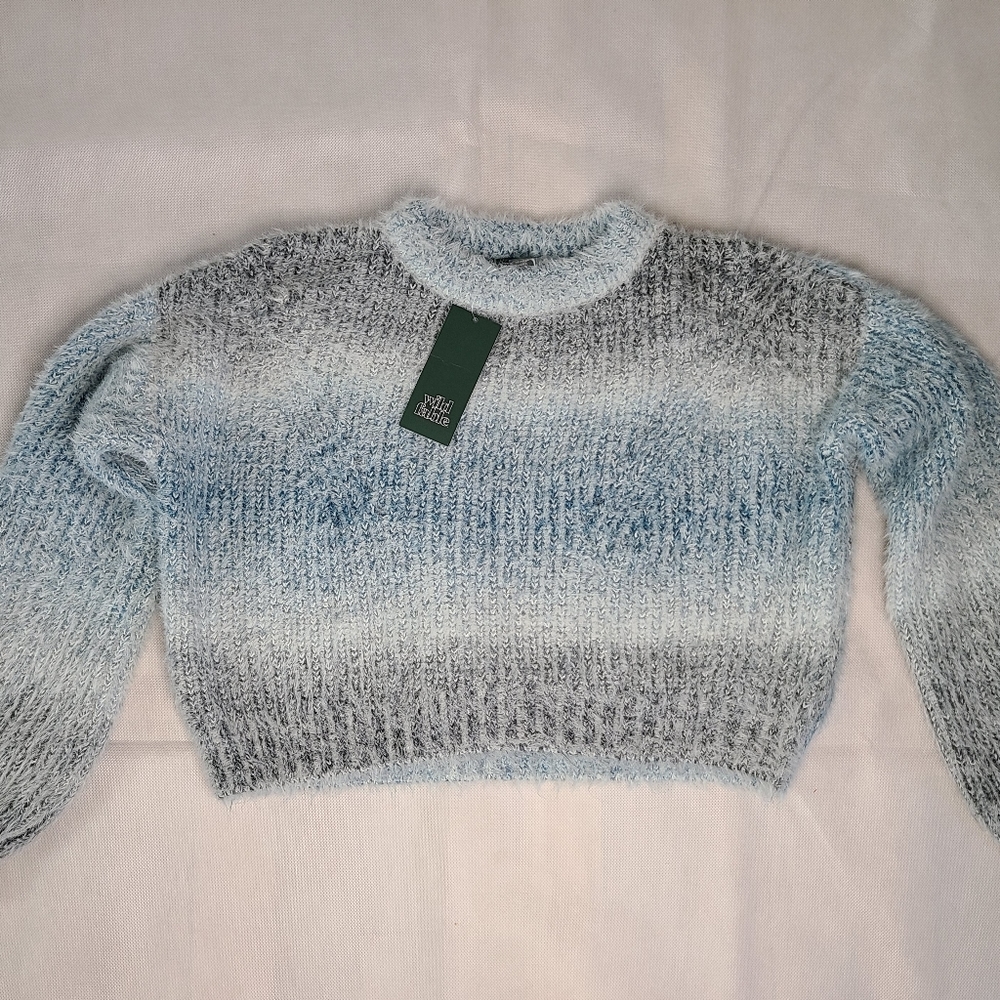 Wild Fable Women's Fuzzy Pullover Sweater